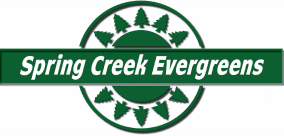 Spring Creek Evergreens logo with trees.